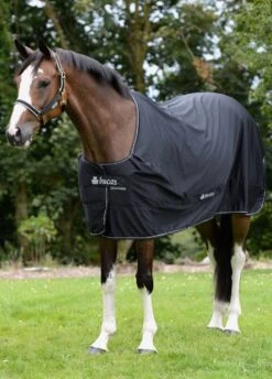 New Bucas Shamrock Power Rug - Black -Equestrian Sale Store shamrockpowerblkrdy