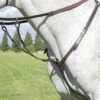 Shires Avignon Breastplate - Havana 2 Shires Avignon Breastplate - Havana -Equestrian Sale Store shires avignon breastplate havana 1rdy