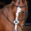 Shires Velociti RAPIDA Grackle Bridle - Havana -Equestrian Sale Store shires grackle havana 1rdy