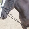 Shires Soft Lunging Aid - Black -Equestrian Sale Store shires soft lunge aid black 1rdy