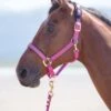 Shires Topaz Padded Headcollar - Raspberry 2 Shires Topaz Padded Headcollar - Raspberry -Equestrian Sale Store shirestopazheadcollarraspberryrdy