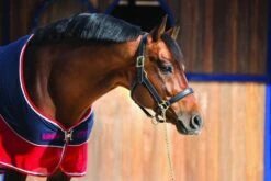 Rambo Sport Cooler - Navy/Red/Grey -Equestrian Sale Store sportcooler2