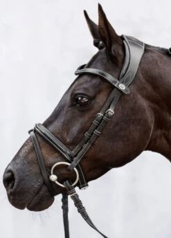 PS Of Sweden Stockholm Bridle - Black 5 PS Of Sweden Stockholm Bridle - Black -Equestrian Sale Store stockholmblkrdy