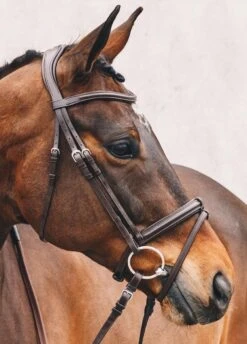 Schockemohle Tokyo Select Anatomical Bridle - Brown -Equestrian Sale Store tokyoselectbrn2rdy