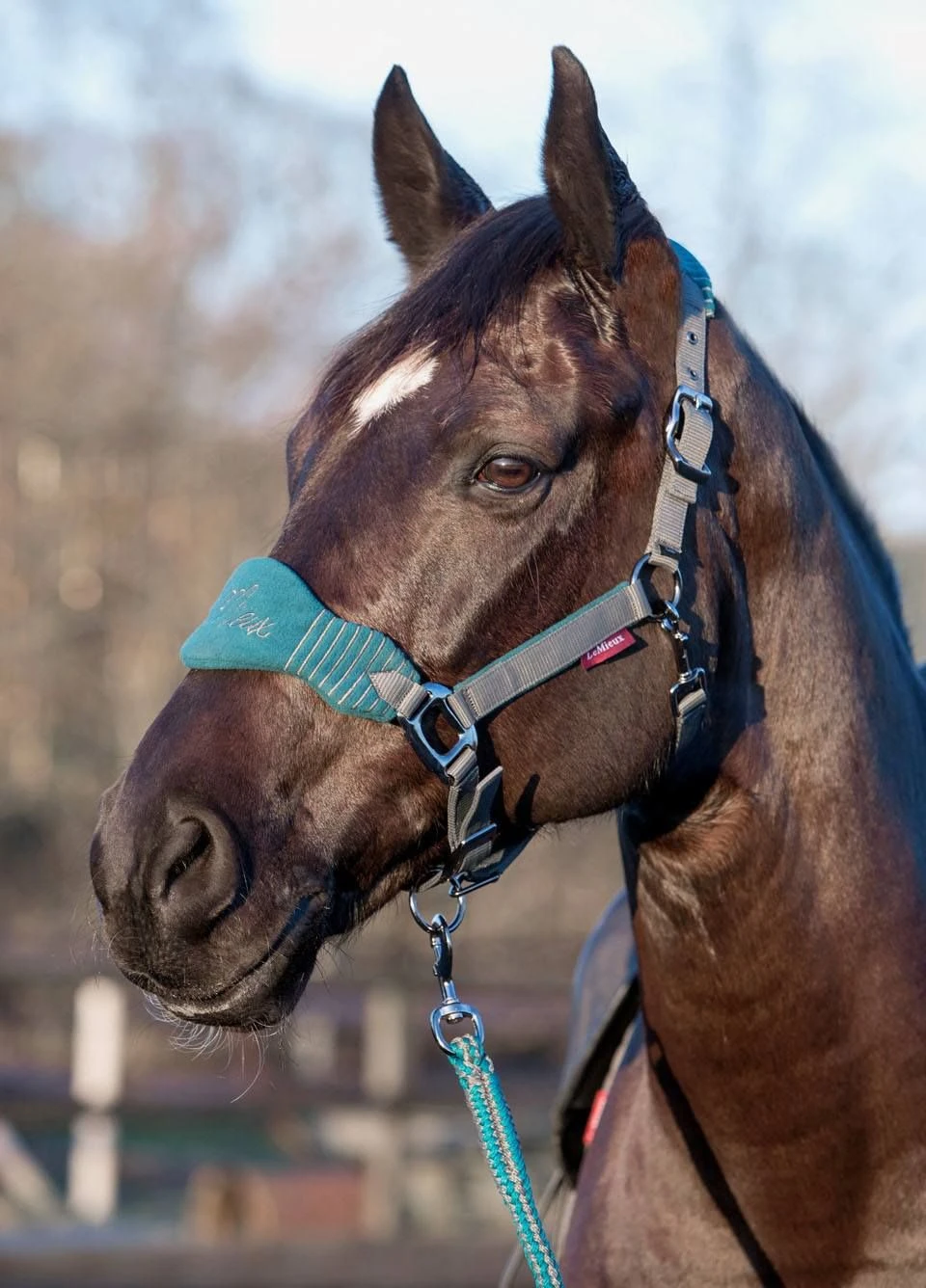 LeMieux Vogue Fleece Headcollar & Leadrope Set - Peacock/Grey 4 LeMieux Vogue Fleece Headcollar & Leadrope Set - Peacock/Grey - Image 2