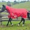 Weatherbeeta ComFITec Classic Combo Neck Medium - Red/Silver 1 Weatherbeeta ComFITec Classic Combo Neck Medium - Red/Silver -Equestrian Sale Store wb combo red 1rdy 1