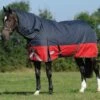 Weatherbeeta Plus Dynamic II Detach-A-Neck Medium - Black/Red/Silver 1 Weatherbeeta Plus Dynamic II Detach-A-Neck Medium - Black/Red/Silver -Equestrian Sale Store wb dynamic detach black red 1rdy