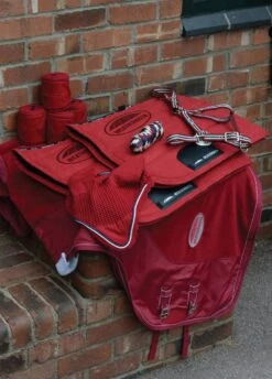 Weatherbeeta Coordinate Headcollar - Ruby -Equestrian Sale Store wbbirthday2 2