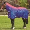 Weatherbeeta Comfitec Plus Dynamic Combo Lite Turnout - Purple Ombre 2 Weatherbeeta Comfitec Plus Dynamic Combo Lite Turnout - Purple Ombre -Equestrian Sale Store wbdynamiccombolitepurpleombrerdy