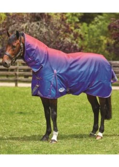 Weatherbeeta Comfitec Plus Dynamic Combo Lite Turnout - Purple Ombre