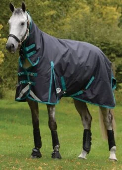 Weatherbeeta ComFITec Plus Dynamic II Combo Neck Medium - Black/Aqua