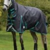 Weatherbeeta ComFITec Plus Dynamic II Combo Medium/Lite - Black/Aqua -Equestrian Sale Store wbdynamiciicomboblackaquardy 1