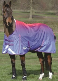 Weatherbeeta ComFiTec Plus Dynamic Standard Neck Lite Turnout Rug - Purple Ombre
