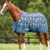 WeatherBeeta Comfitec Essential Standard Neck Lite - Giraffe -Equestrian Sale Store wbessentialstandardlitegirafferdy