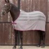 Weatherbeeta Scrim Cooler - Dark Grey/Orchid -Equestrian Sale Store weatherbeeta scrim cooler dark grey orchid 1rdy