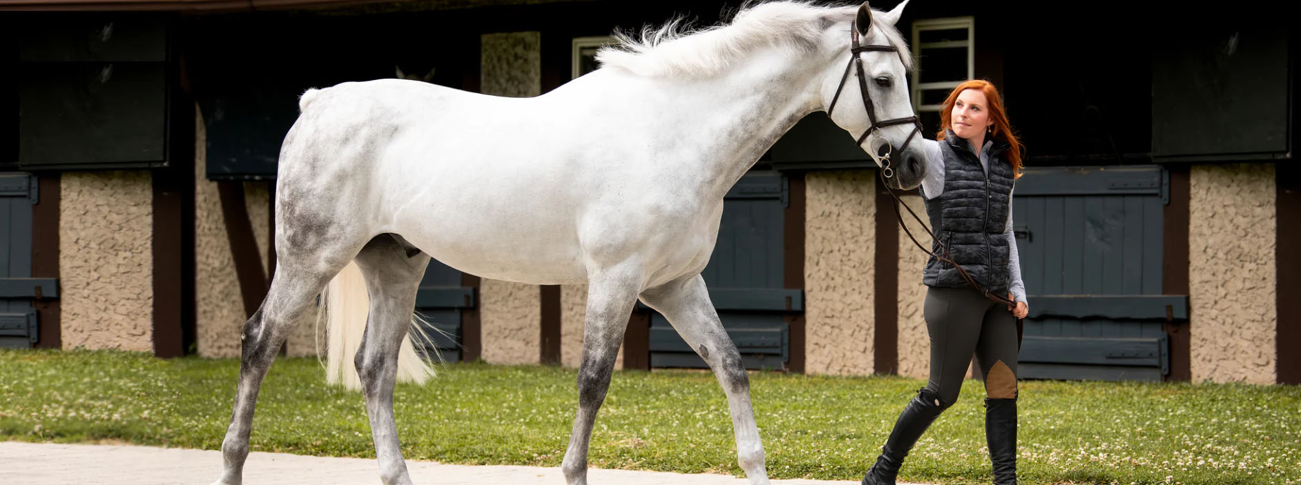 Equestrian Sale Store -Equestrian Sale Store yujy