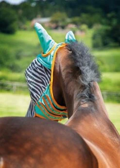 Shires Zeb-Tek Fly Mask - Zebra -Equestrian Sale Store zebraflymasktealrdy